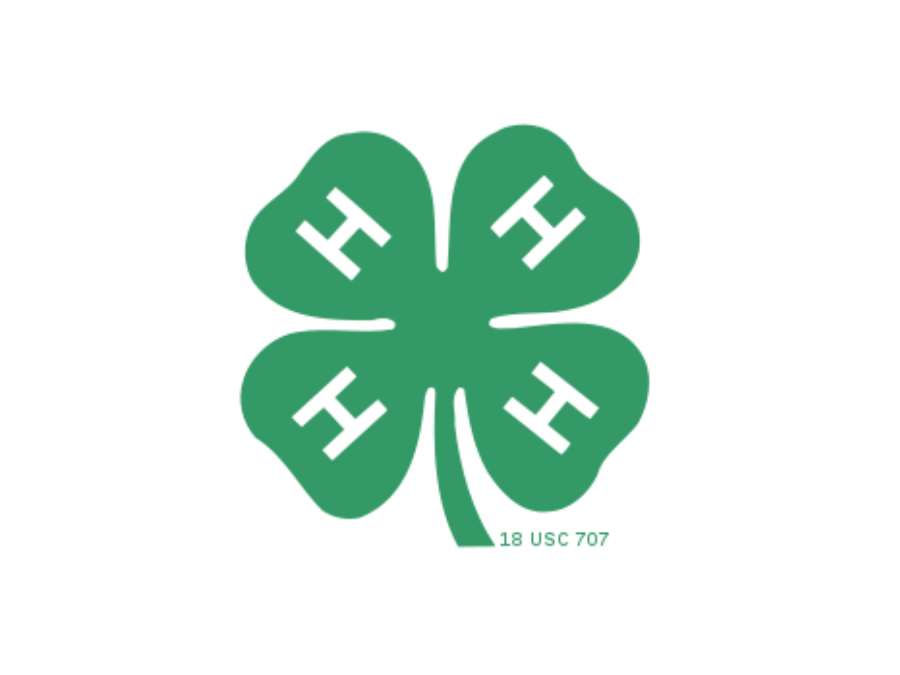 4-H